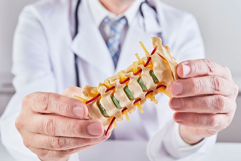 neurochirurgo con modello colonna vertebrale