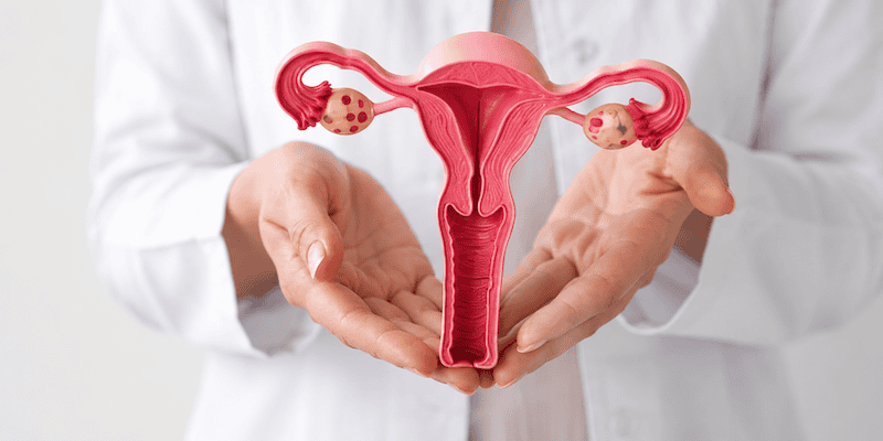 perché in menopausa si verifica secchezza vaginale